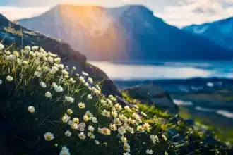 Svalbard