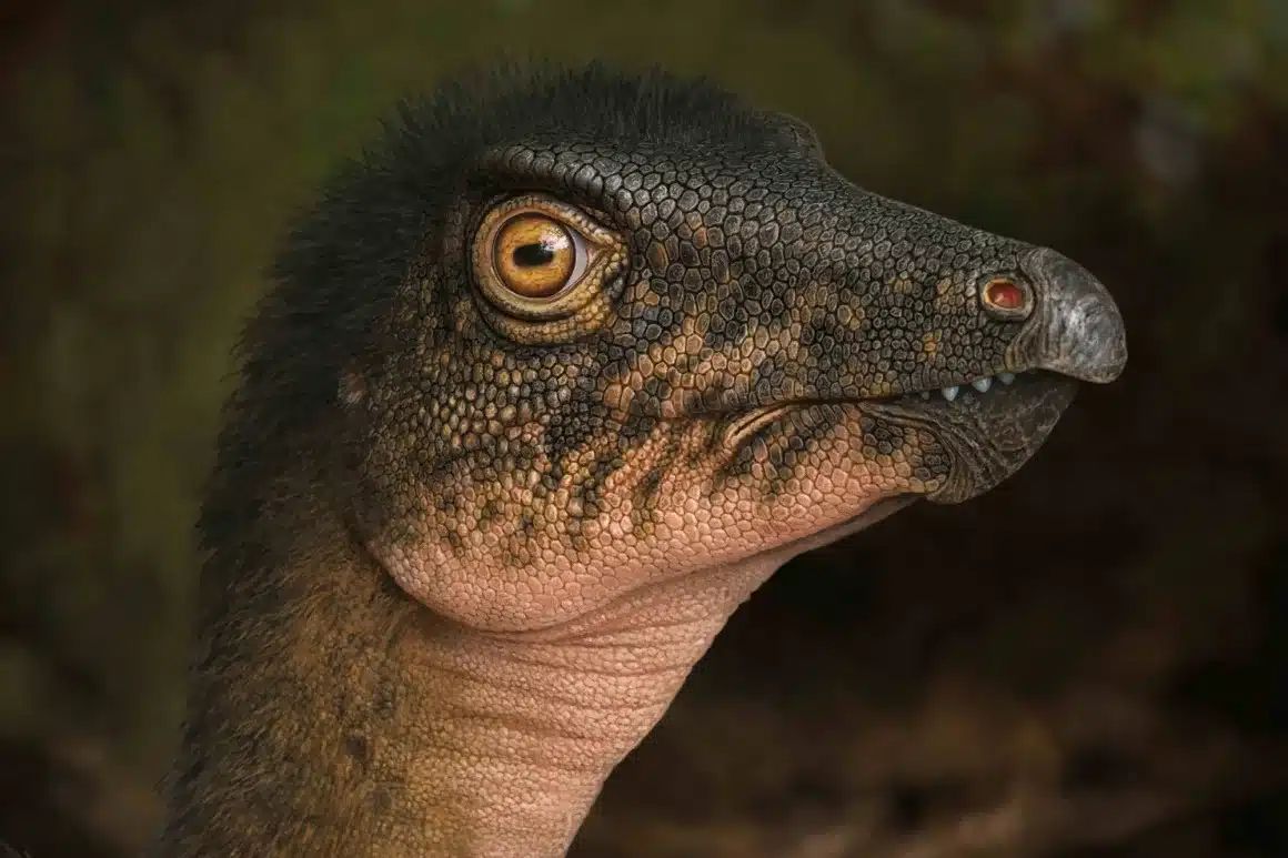 Dinosauri in thailandia: la cronologia cambia di 20 milioni di anni %dinosauri in thailandia: la cronologia cambia di 20 milioni di annicount(title)% Ricostruzione di un dinosauro