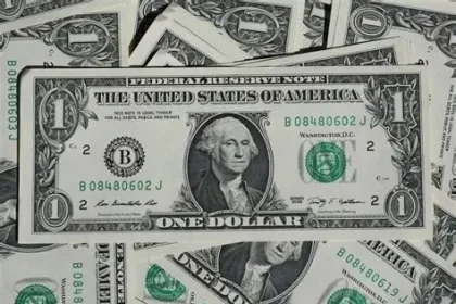 Dollaro