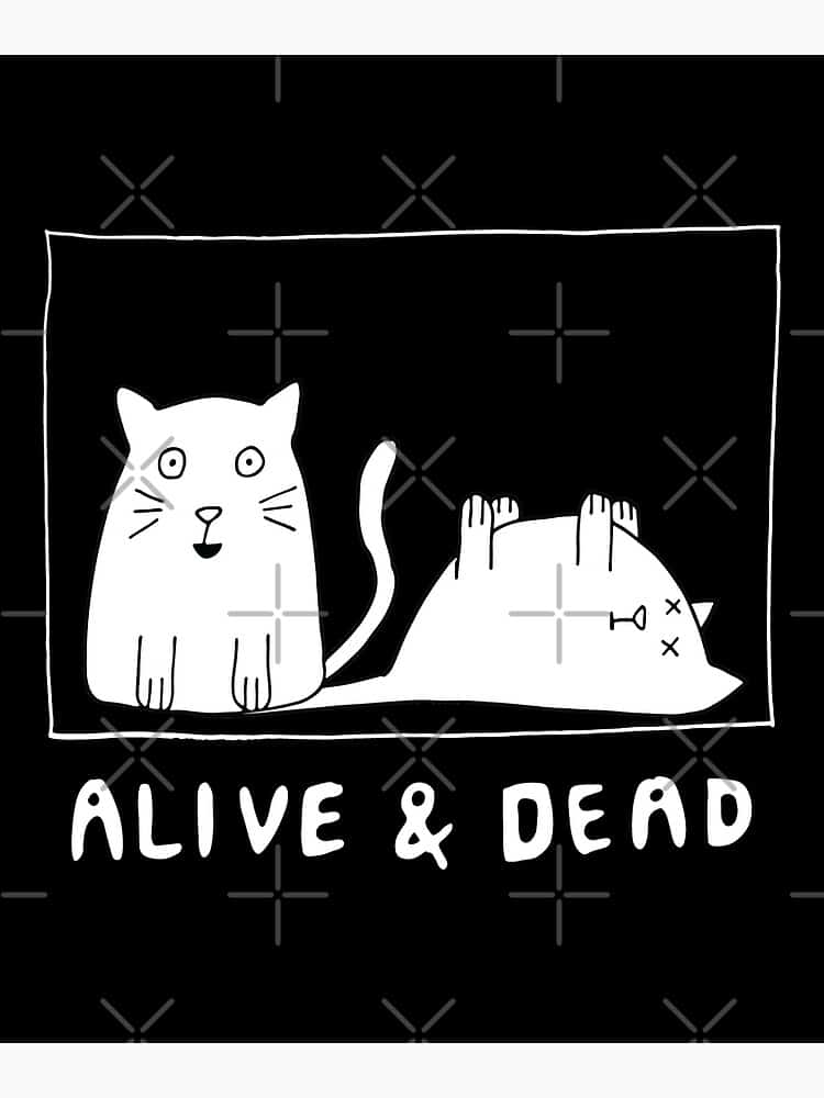Gatto di schrödinger: e se l'universo avesse già risolto il paradosso per noi? %gatto di schrödinger: e se l'universo avesse già risolto il paradosso per noi? Count(title)% Gatto di schrödinger: e se l'universo avesse già risolto il paradosso per noi?