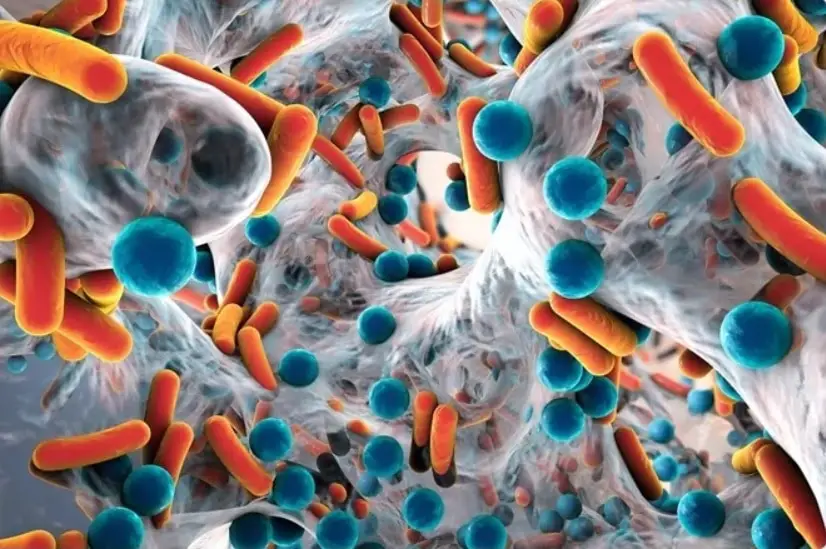 Disbiosi intestinale: guida ai sintomi più subdoli, alle strategie per la remissione, alle terapie più efficaci %disbiosi intestinale: guida ai sintomi più subdoli, alle strategie per la remissione, alle terapie più efficacicount(title)% Disbiosi intestinale: guida ai sintomi più subdoli, alle strategie per la remissione, alle terapie più efficaci