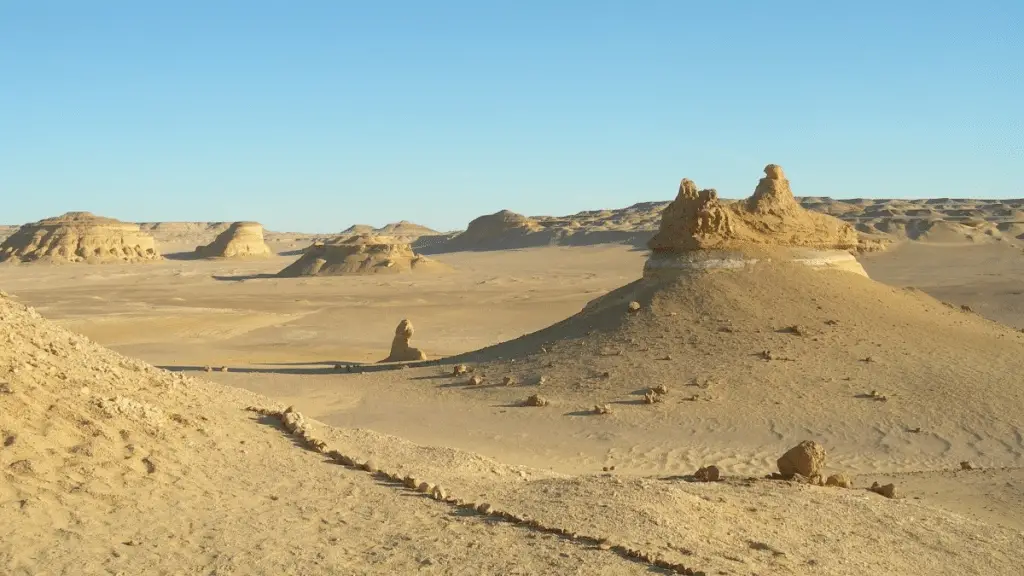 Valle delle balene: il mistero di 40 milioni di anni fa %valle delle balene: il mistero di 40 milioni di anni facount(title)% Valle delle balene: il mistero di 40 milioni di anni fa