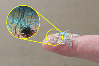 Microplastiche