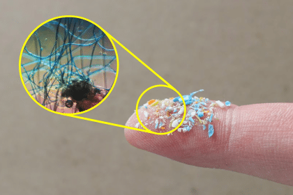 Microplastiche