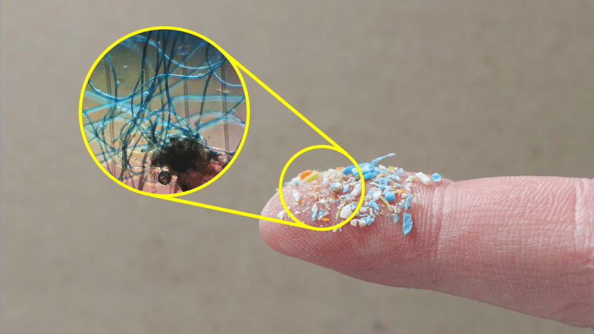 Microplastiche