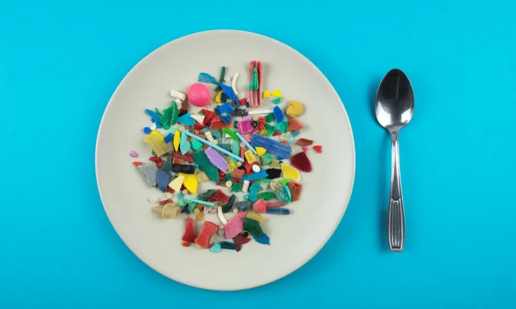 Nel 2025 le microplastiche raggiungono i fluidi riproduttivi %nel 2025 le microplastiche raggiungono i fluidi riproduttivicount(title)% Nel 2025 le microplastiche raggiungono i fluidi riproduttivi