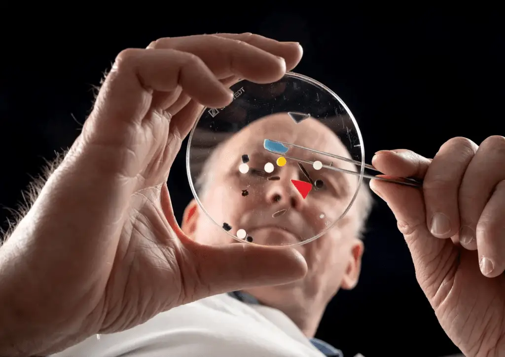 Nel 2025 le microplastiche raggiungono i fluidi riproduttivi %nel 2025 le microplastiche raggiungono i fluidi riproduttivicount(title)% Nel 2025 le microplastiche raggiungono i fluidi riproduttivi