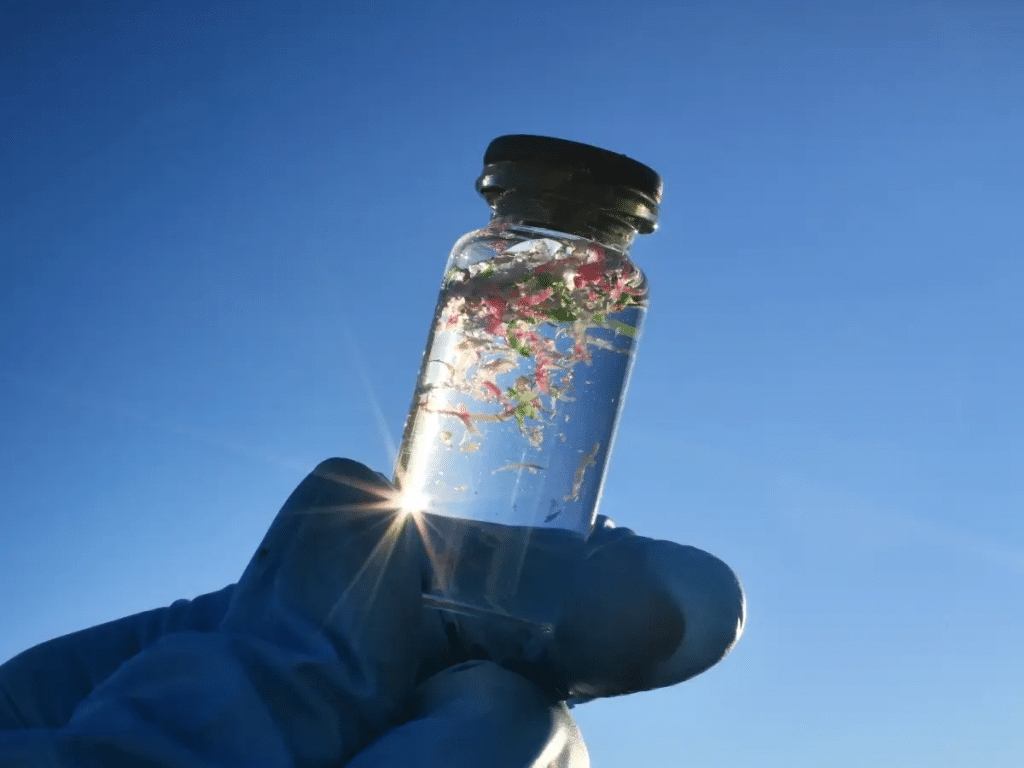 Microplastiche