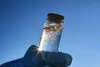 Microplastiche