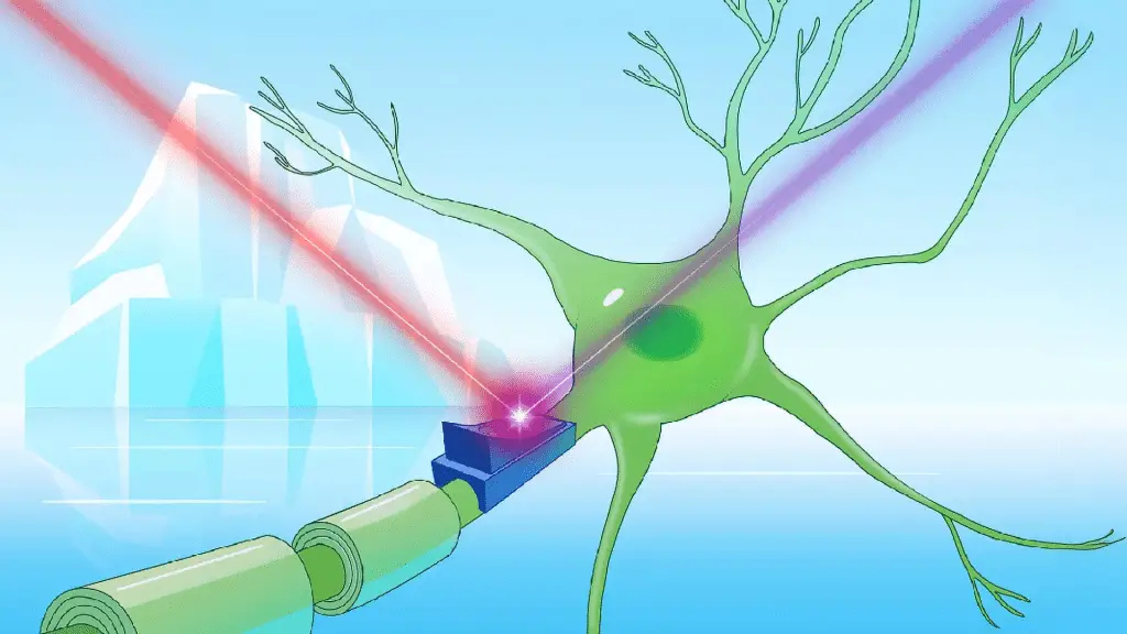 Cryorodopsine: le proteine delle nevi eterne che potrebbero rivoluzionare la neurobiologia %cryorodopsine: le proteine delle nevi eterne che potrebbero rivoluzionare la neurobiologiacount(title)% Cryorodopsine: le proteine delle nevi eterne che potrebbero rivoluzionare la neurobiologia