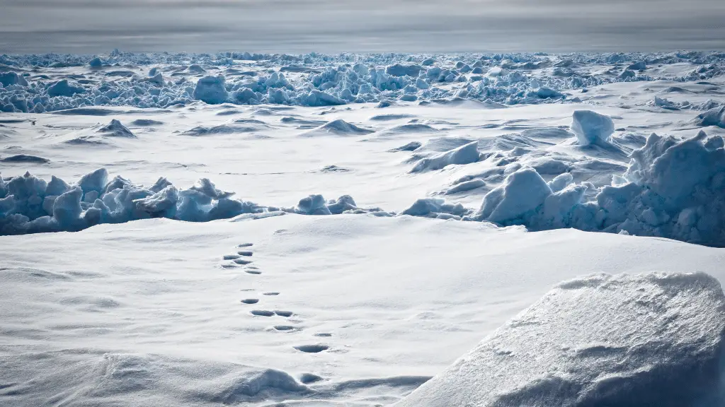 Addio alla mega calotta artica? Una nuova ricerca rivoluziona ciò che credevamo sul passato glaciale dell’artico %addio alla mega calotta artica? Una nuova ricerca rivoluziona ciò che credevamo sul passato glaciale dell’articocount(title)% Addio alla mega calotta artica? Una nuova ricerca rivoluziona ciò che credevamo sul passato glaciale dell’artico