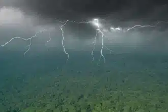 Temporali