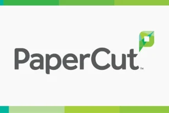 Papercut ng
