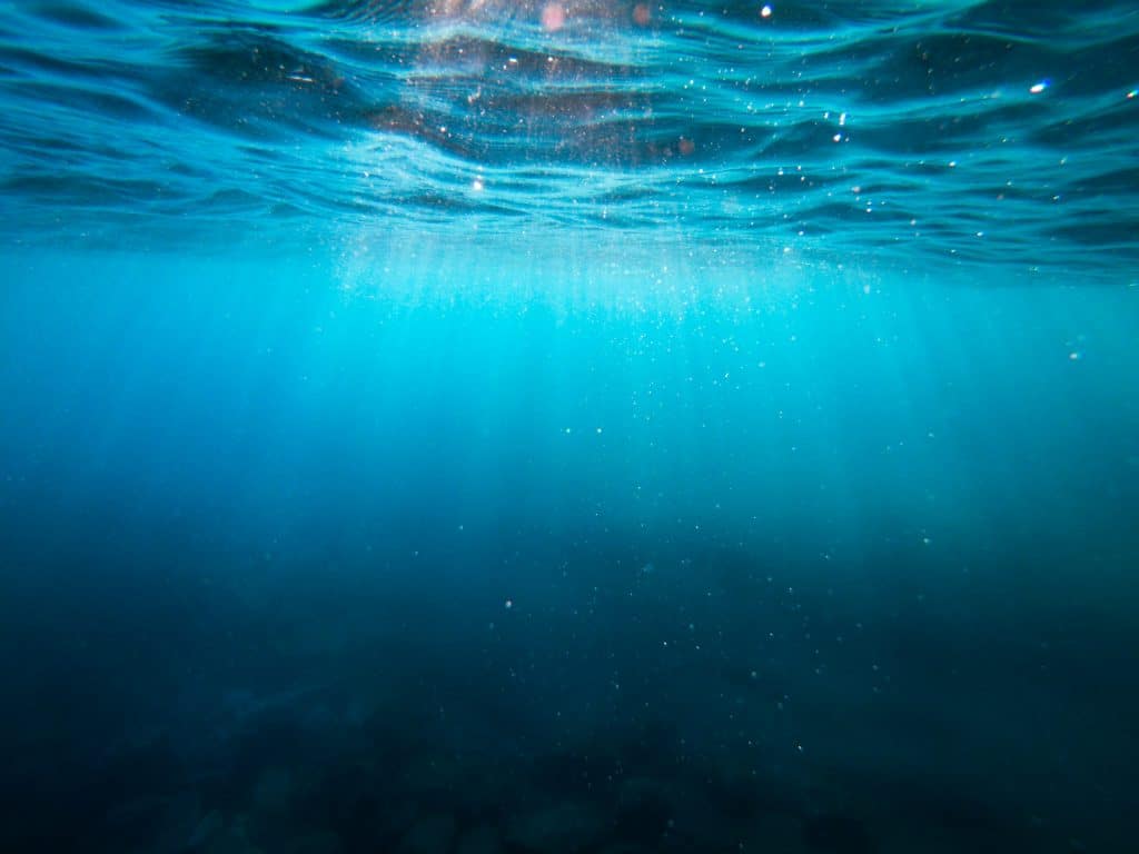 Ondate di calore marine: come l’oceano ci sta già mostrando il futuro climatico %ondate di calore marine: come l’oceano ci sta già mostrando il futuro climaticocount(title)% Ondate di calore marine: come l’oceano ci sta già mostrando il futuro climatico