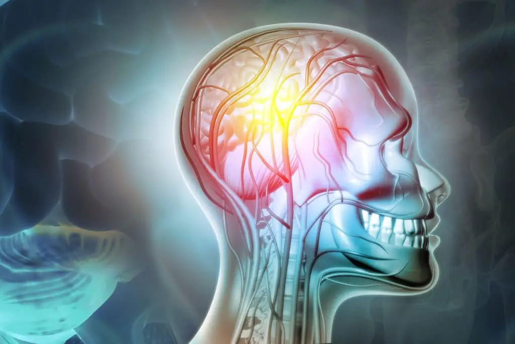 Il cervello sente i batteri dell’intestino in tempo reale: scoperto un nuovo "senso neurobiotico" %il cervello sente i batteri dell’intestino in tempo reale: scoperto un nuovo "senso neurobiotico"count(title)% Il cervello sente i batteri dell’intestino in tempo reale: scoperto un nuovo "senso neurobiotico"