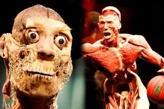 Una madre riconosce il cadavere del figlio scomparso in una mostra di anatomia: lo scandalo dei corpi rubati -foto