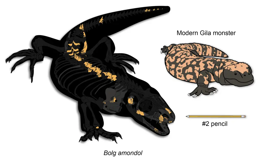 Bolg amondol: scoperta una nuova lucertola corazzata dell’era dei dinosauri nello utah %bolg amondol: scoperta una nuova lucertola corazzata dell’era dei dinosauri nello utahcount(title)% Bolg amondol: scoperta una nuova lucertola corazzata dell’era dei dinosauri nello utah