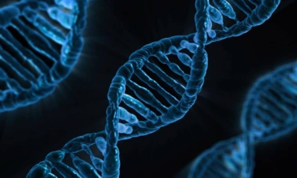 Malattie autoimmuni: scoperto un nuovo scudo molecolare per la loro cura