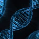 Dna e successo: i geni contano più dell’educazione? %dna e successo: i geni contano più dell’educazione? Count(title)% Dna e successo: i geni contano più dell’educazione?