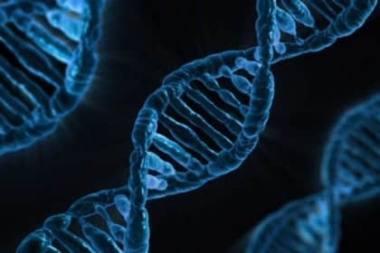 Malattie autoimmuni: scoperto un nuovo scudo molecolare per la loro cura