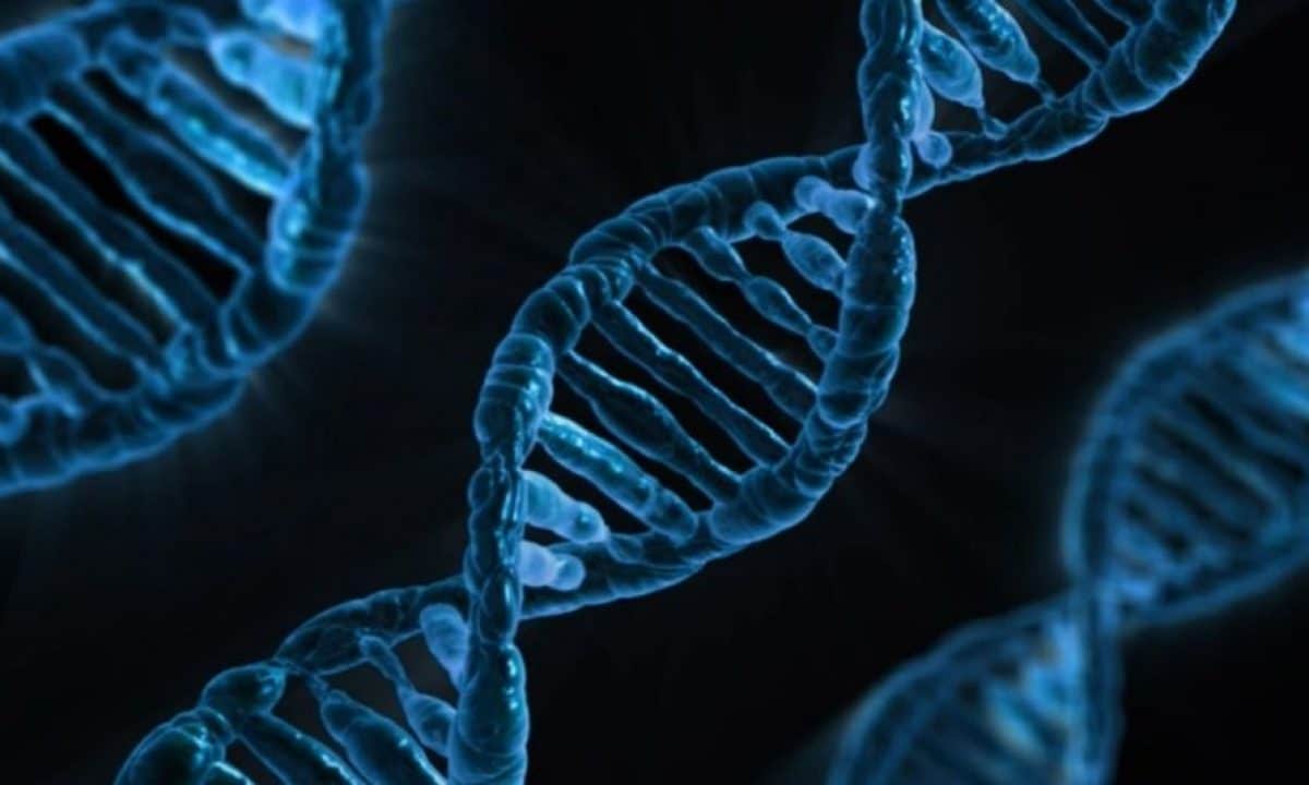 Cellule car-t: un unico trattamento endovenoso contro i disordini autoimmuni