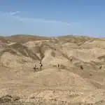 Fossili di antenati umani in etiopia: due specie vissute insieme, una forse sconosciuta %fossili di antenati umani in etiopia: due specie vissute insieme, una forse sconosciutacount(title)% Fossili di antenati umani in etiopia: due specie vissute insieme, una forse sconosciuta