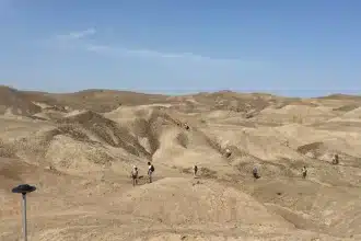 Fossili