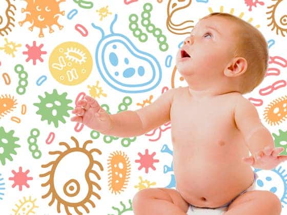 Cervello e microbi: una nuova ricerca svela il legame nascosto