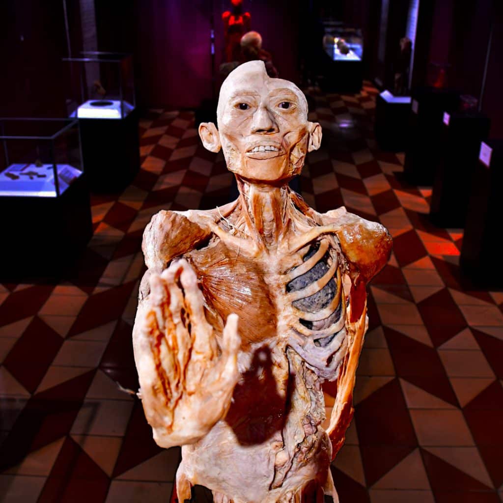 Una madre riconosce il cadavere del figlio scomparso in una mostra di anatomia: lo scandalo dei corpi rubati -foto %una madre riconosce il cadavere del figlio scomparso in una mostra di anatomia: lo scandalo dei corpi rubati -fotocount(title)% Una madre riconosce il cadavere del figlio scomparso in una mostra di anatomia: lo scandalo dei corpi rubati -foto