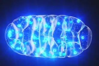 Malattie neurodegenerative