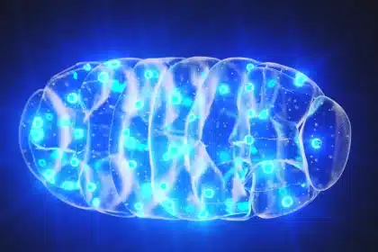 Malattie neurodegenerative