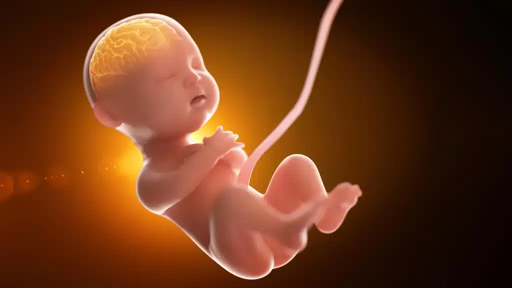Cervello e microbi: una nuova ricerca svela il legame nascosto