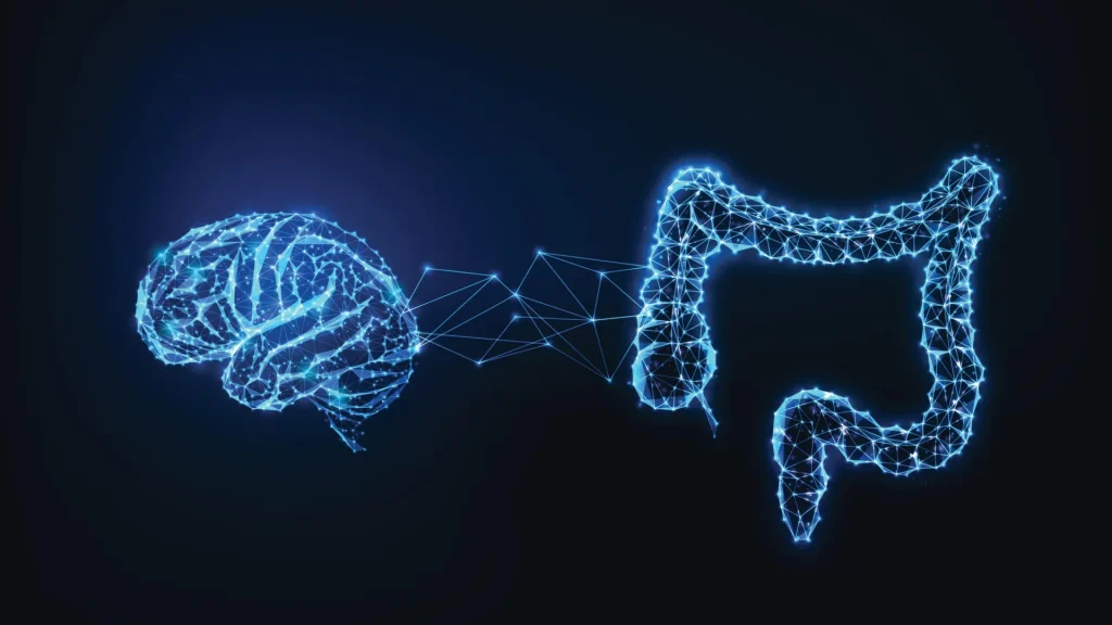 Il cervello sente i batteri dell’intestino in tempo reale: scoperto un nuovo "senso neurobiotico" %il cervello sente i batteri dell’intestino in tempo reale: scoperto un nuovo "senso neurobiotico"count(title)% Il cervello sente i batteri dell’intestino in tempo reale: scoperto un nuovo "senso neurobiotico"
