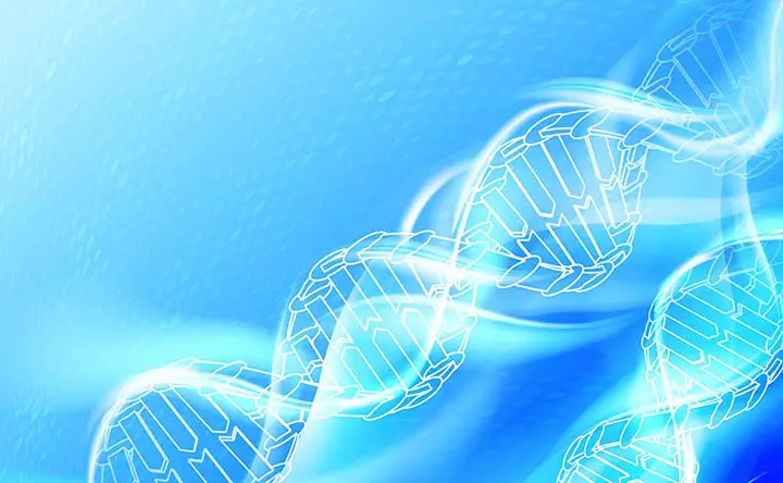 Malattie autoimmuni: scoperto un nuovo scudo molecolare per la loro cura