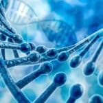 Database dna dhs: causa contro il monitoraggio ice %database dna dhs: causa contro il monitoraggio icecount(title)% Database dna dhs: causa contro il monitoraggio ice