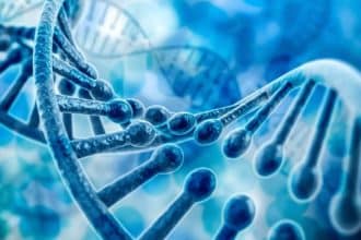 Malattie autoimmuni: scoperto un nuovo scudo molecolare per la loro cura