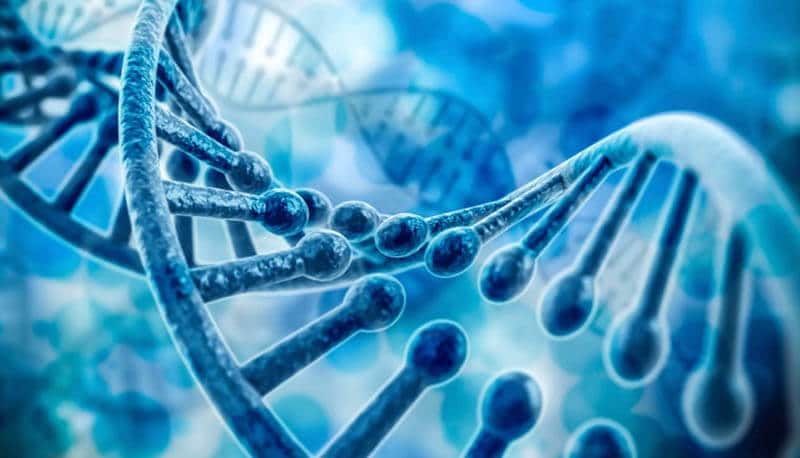 Malattie autoimmuni: scoperto un nuovo scudo molecolare per la loro cura