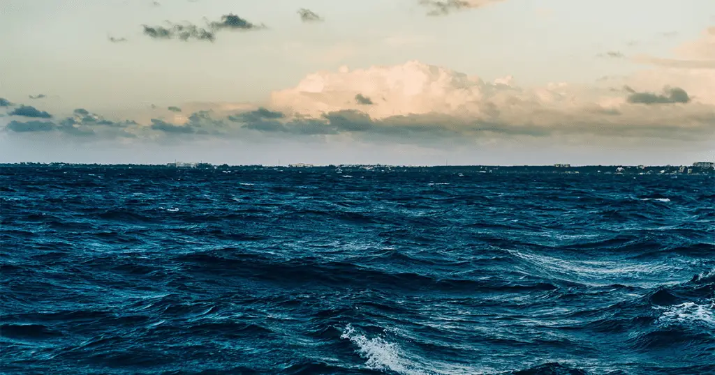 L’oceano come lo spazio: scoperto un ecosistema “alieno” a 9. 500 metri di profondità %l’oceano come lo spazio: scoperto un ecosistema “alieno” a 9. 500 metri di profonditàcount(title)% L’oceano come lo spazio: scoperto un ecosistema “alieno” a 9. 500 metri di profondità