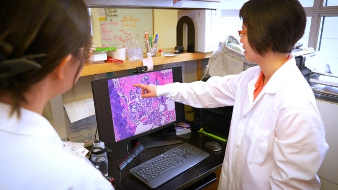 Cancro metastatico: la ricerca per fermarlo è a rischio stop %cancro metastatico: la ricerca per fermarlo è a rischio stopcount(title)% Metastasi