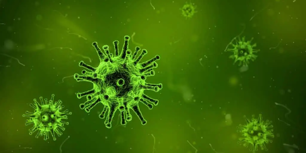 Scoperto un “superpotere antivirale” che potrebbe proteggere da tutti i virus