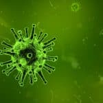 Influenza 2026-27 in anticipo: cosa sappiamo sulla mutazione h1n1 g155e %influenza 2026-27 in anticipo: cosa sappiamo sulla mutazione h1n1 g155ecount(title)% Influenza 2026-27 in anticipo: cosa sappiamo sulla mutazione h1n1 g155e