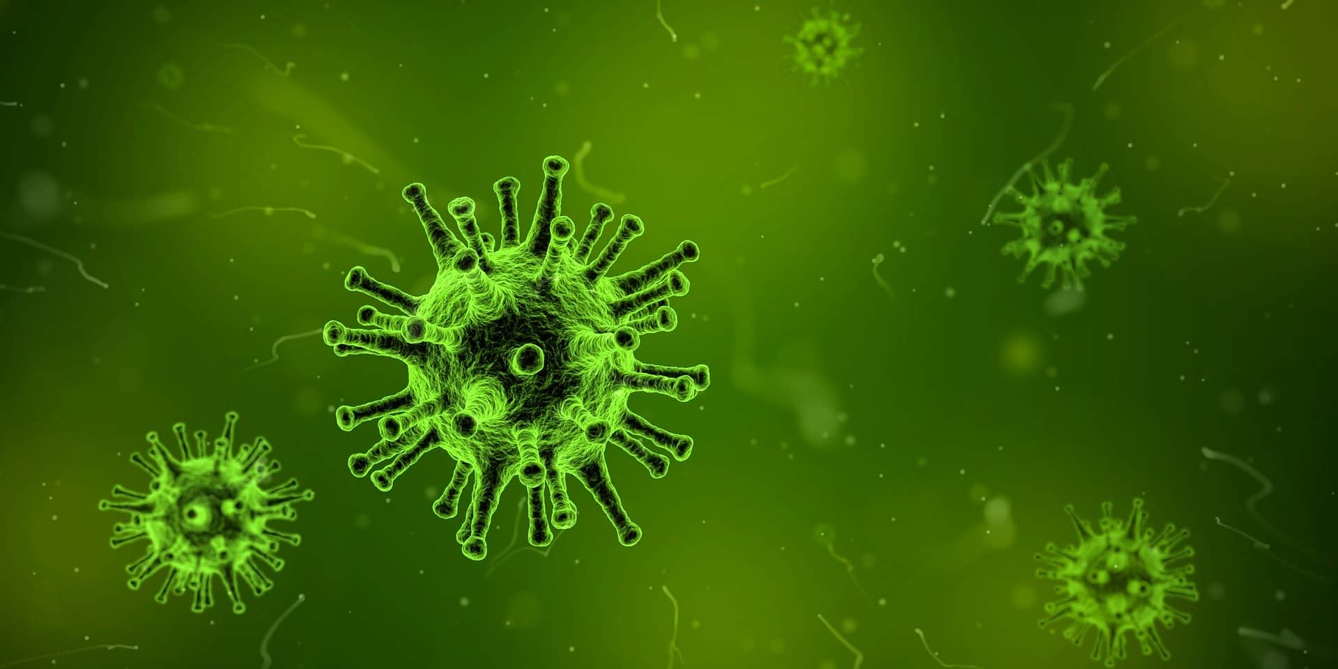 Influenza 2026-27 in anticipo: cosa sappiamo sulla mutazione h1n1 g155e %influenza 2026-27 in anticipo: cosa sappiamo sulla mutazione h1n1 g155ecount(title)% Influenza 2026-27 in anticipo: cosa sappiamo sulla mutazione h1n1 g155e