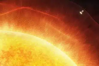 Sole