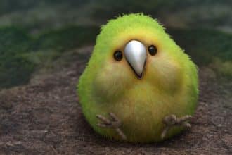 Kakapo