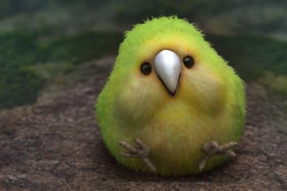 Kakapo