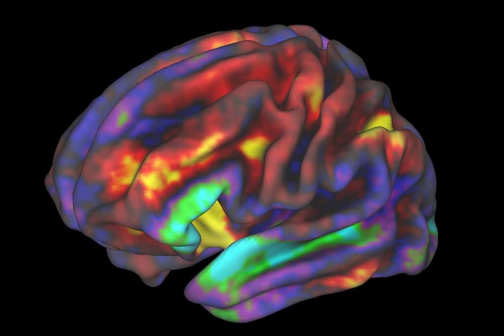 Memoria: perché ricordiamo meglio le sciocchezze?