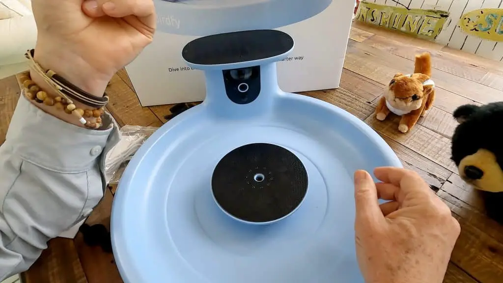 Birdfy smart bird bath pro alla prova: vale davvero il prezzo?