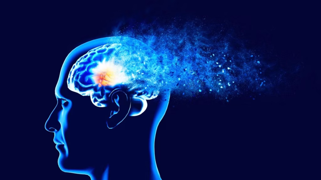 Alzheimer: il grasso nel cervello ostacola le difese immunitarie secondo una nuova ricerca