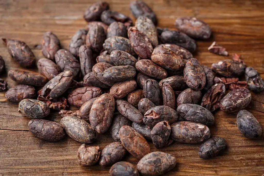 Il cacao fa bene al cuore? Un nuovo studio mostra effetti antinfiammatori sorprendenti