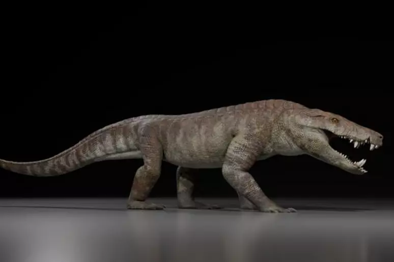 Coccodrillo